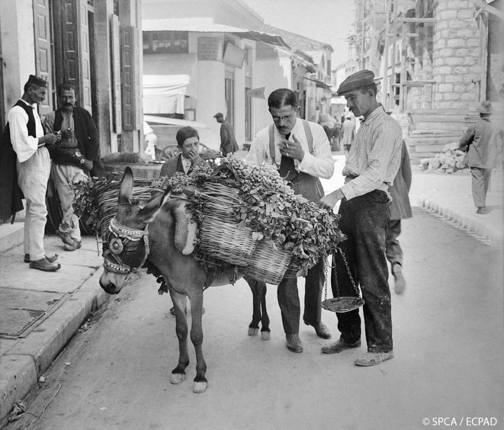 ATHENS 1917 an exhibition at the Benaki Museum - Why Athens